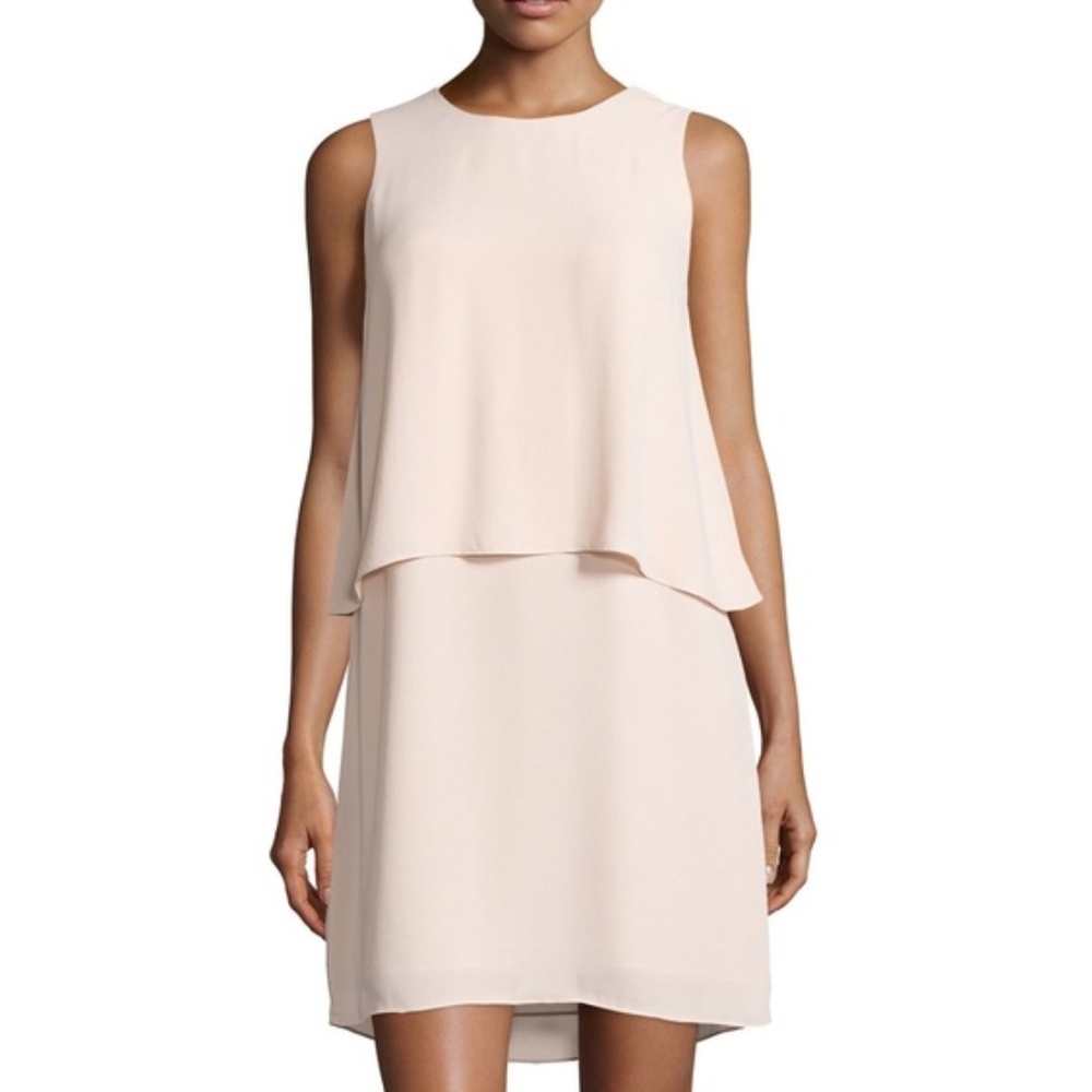 Final Price🎀 EUC BCBG Bare Pink Sleeveless Dress